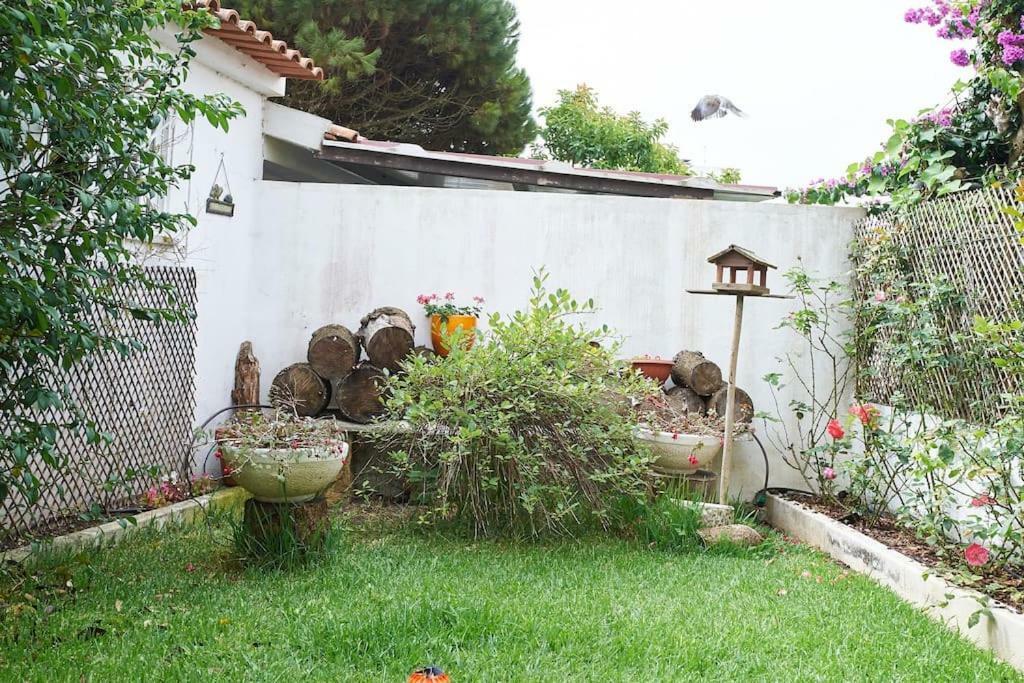Beija-Flor House Villa Ribamar  Kültér fotó