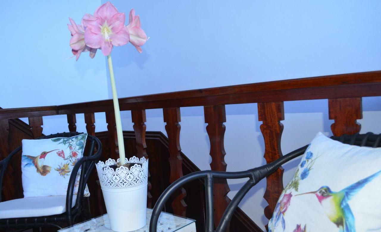 Beija-Flor House Villa Ribamar  Kültér fotó