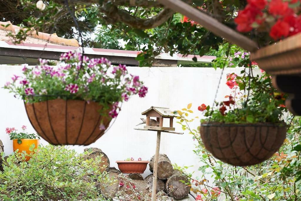 Beija-Flor House Villa Ribamar  Kültér fotó
