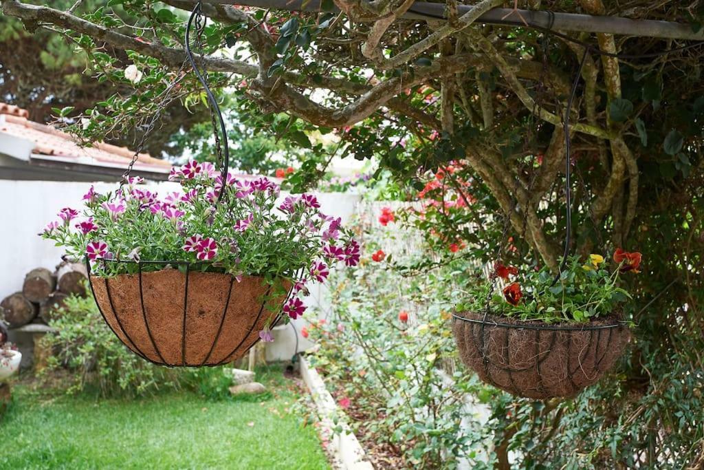 Beija-Flor House Villa Ribamar  Kültér fotó